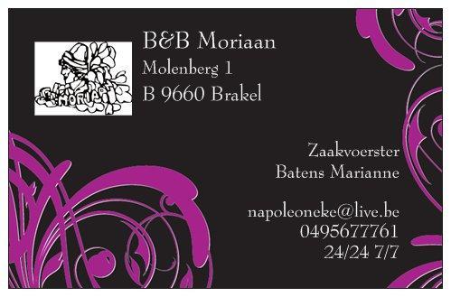 B&B Moriaan Brakel Bagian luar foto